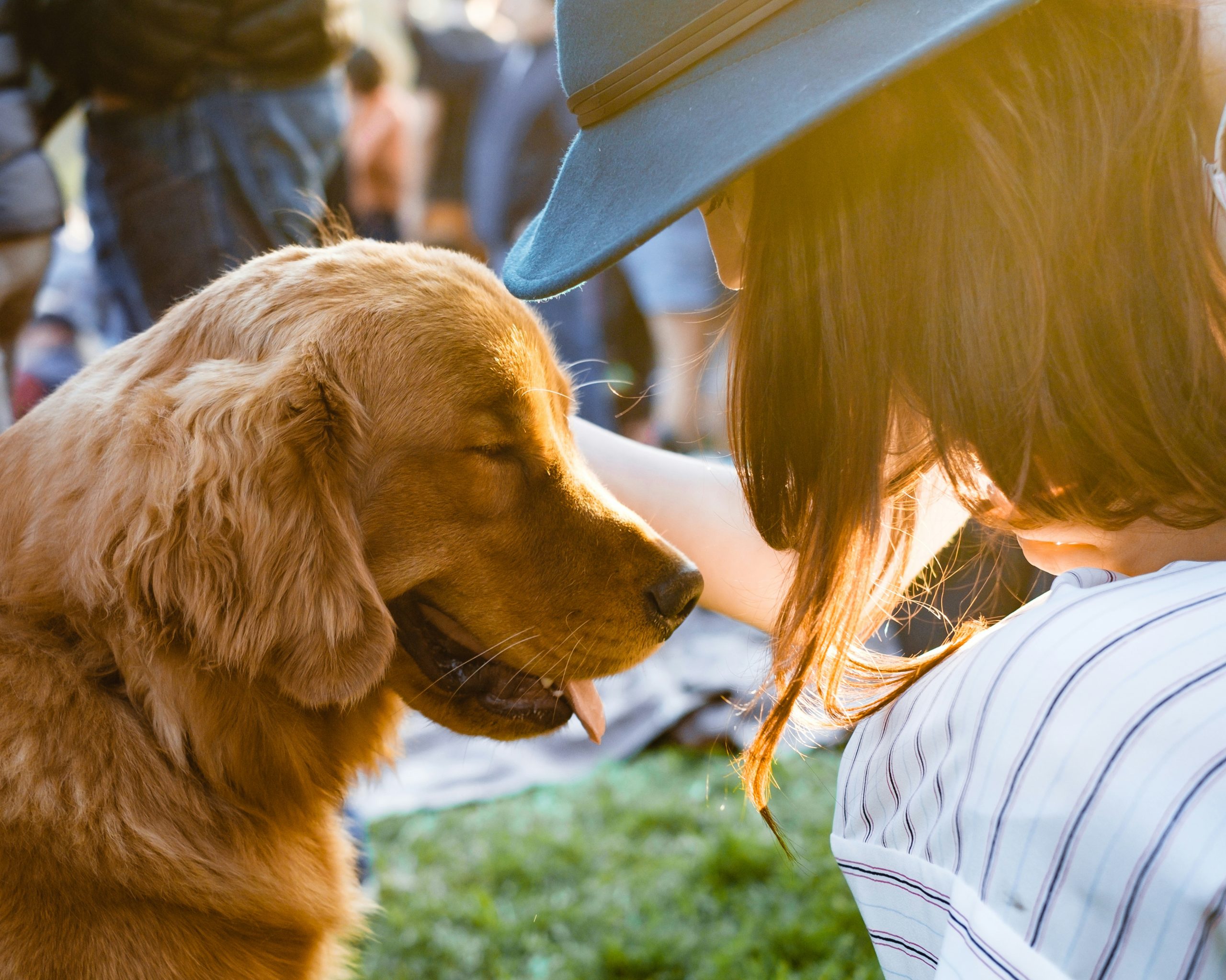 Pets at home care